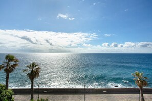 A coastal view with palm trees and a clear sky.