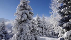 A snowy landscape with dense evergreen trees and a clear blue sky. - Studio 'Grand Serre' with Lake View and Private Terrace (La Morte)
