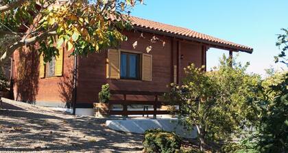 Apartment 'Fuente Vilda' with Private Terrace, Private Garden and Air Conditioning