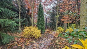 A stone pathway in a forested area with autumn foliage. - 2 bedroom beautiful apartment in Obryta (Obryta)