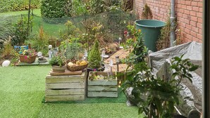 A garden with various plants, a wooden bench, and a green barrel.