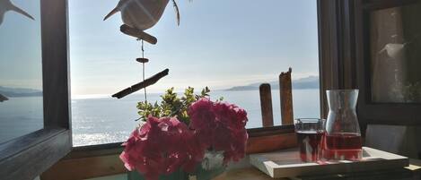 Vista desde la propiedad