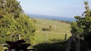 Paesaggio verde con una recinzione e una struttura in pietra.