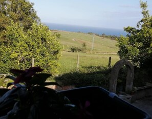 Property grounds - Country House 'La Casita De Luces' with Mountain View, Private Terrace and Wi-Fi (Colunga)