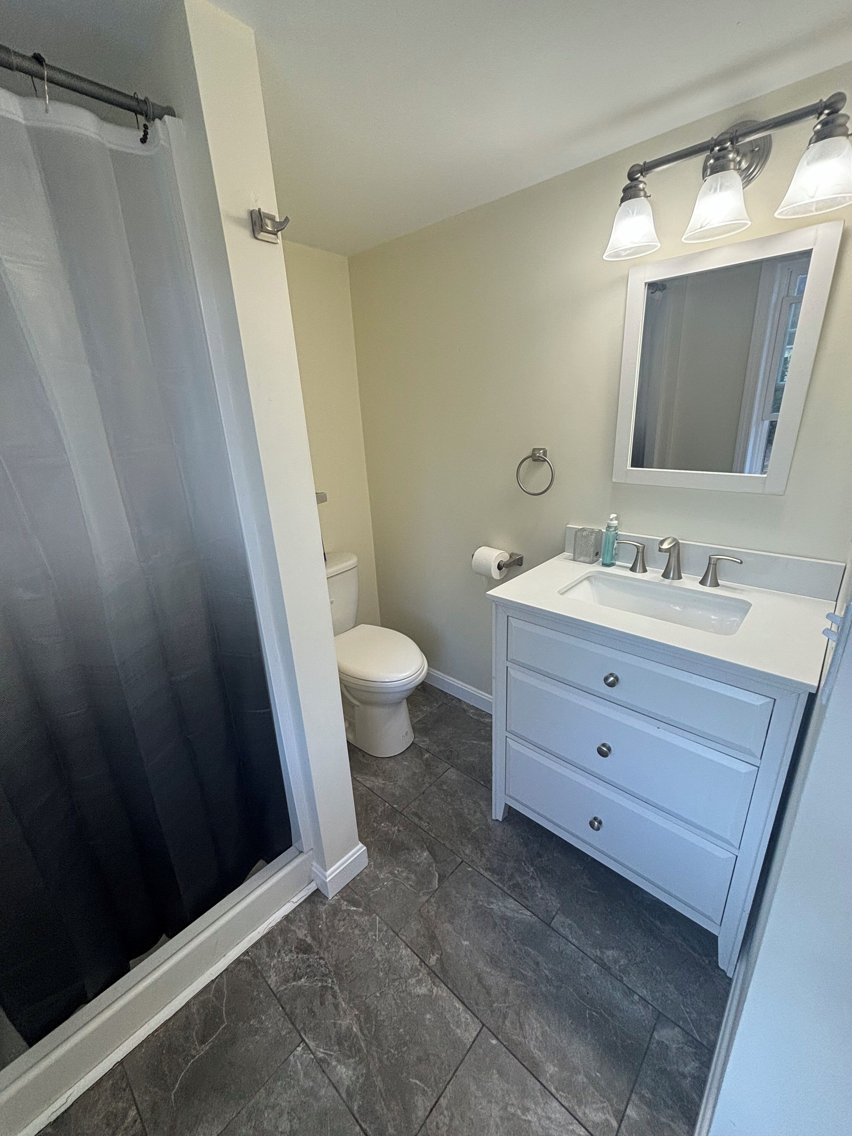 A bathroom with a shower, toilet, sink, and mirror.