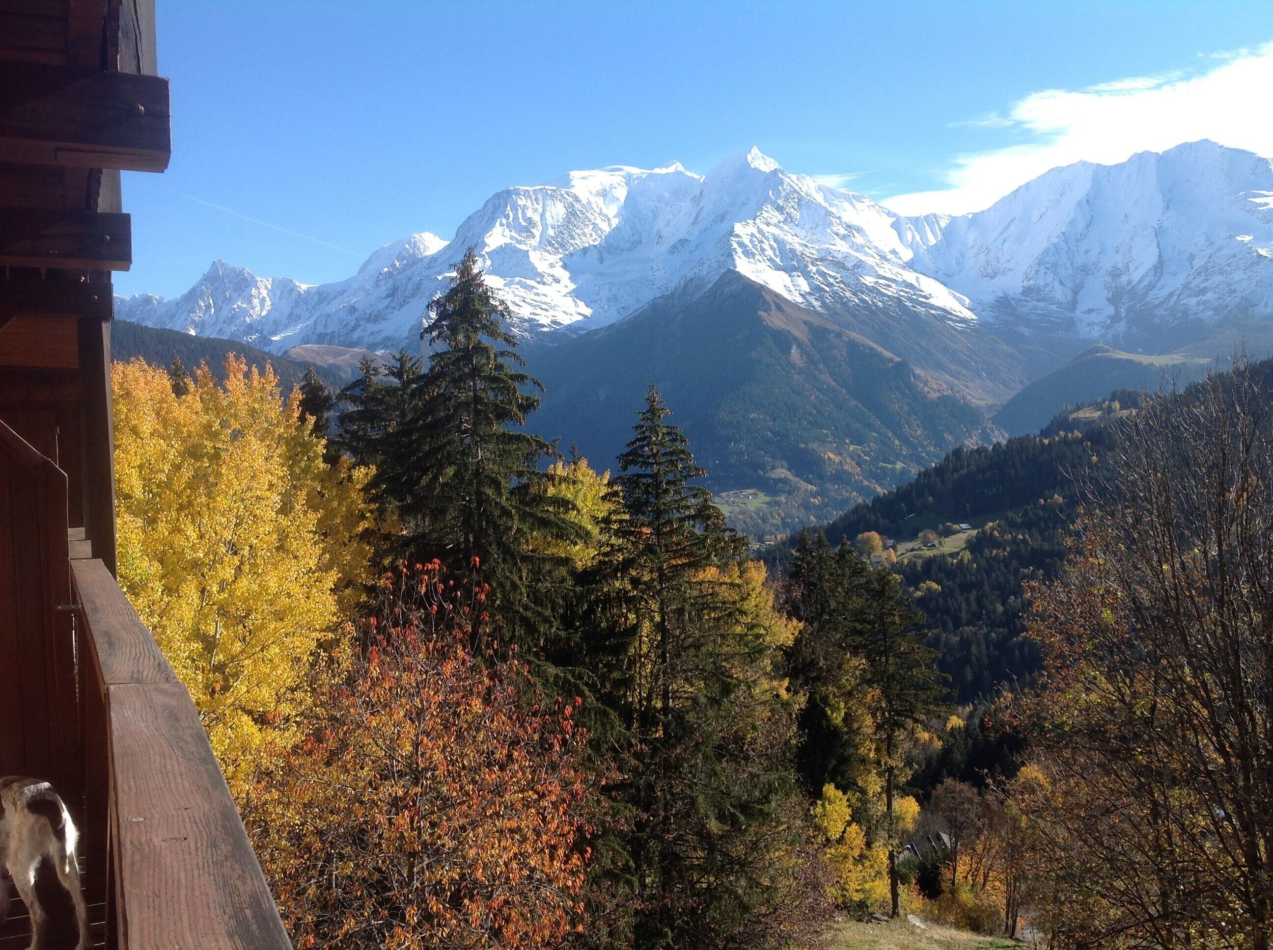 Áreas de la propiedad