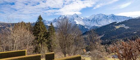 Eine Berglandschaft mit schneebedeckten Gipfeln, blauem Himmel und vereinzelten Bäumen.