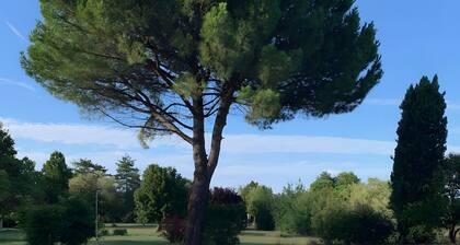 Maison La Joye Sud – Comfort, Accessibility, and Relaxation in the Heart of the Bordeaux Vineyards