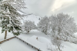 Property grounds - Chalet 'Le Flocon Grand  4 Étoiles' with Mountain View, Private Terrace and Wi-Fi (Villard-Reculas)