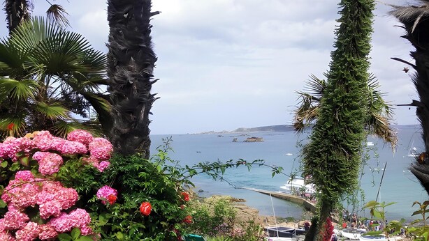 A garden with pink flowers, green foliage, and a view of the sea and boats. - "Ti Roz" 3-star Apartment with Sea View, Direct Beach Access and GR34 (Perros-Guirec)