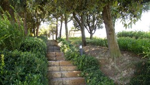 Un escalier en pierre, bordé de verdure, mène à une construction située au fond.