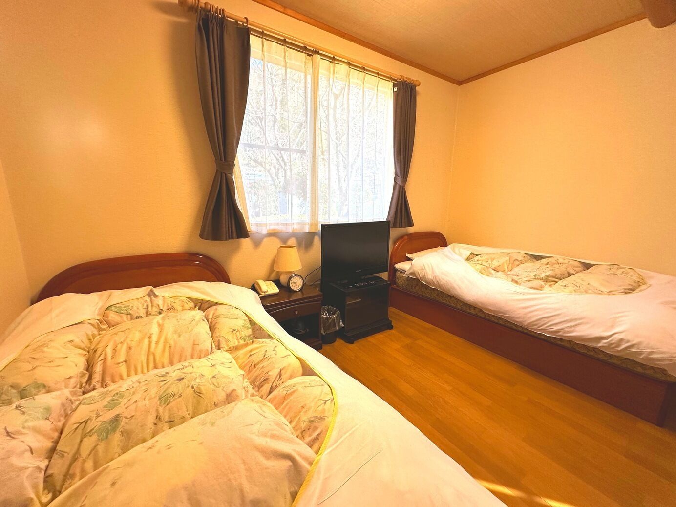 Een kamer met twee bedden, een televisie, een lamp en een raam met gordijnen.