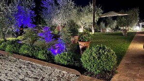 Jardín ajardinado con diversas plantas y árboles, iluminado con luz artificial por la noche.