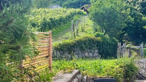 Ein rustikaler Außenbereich mit Korbstühlen und kariertem Tischlein, mit Blick auf einen Weinberg und üppiges Grün.