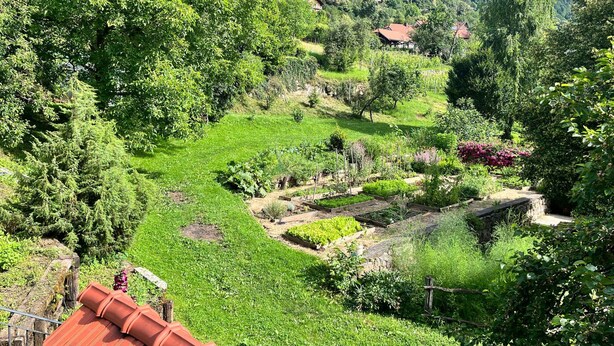 Ein üppiger Garten mit verschiedenen Pflanzen und einem Kiesweg.