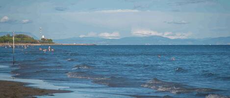 بالقرب من الشاطئ