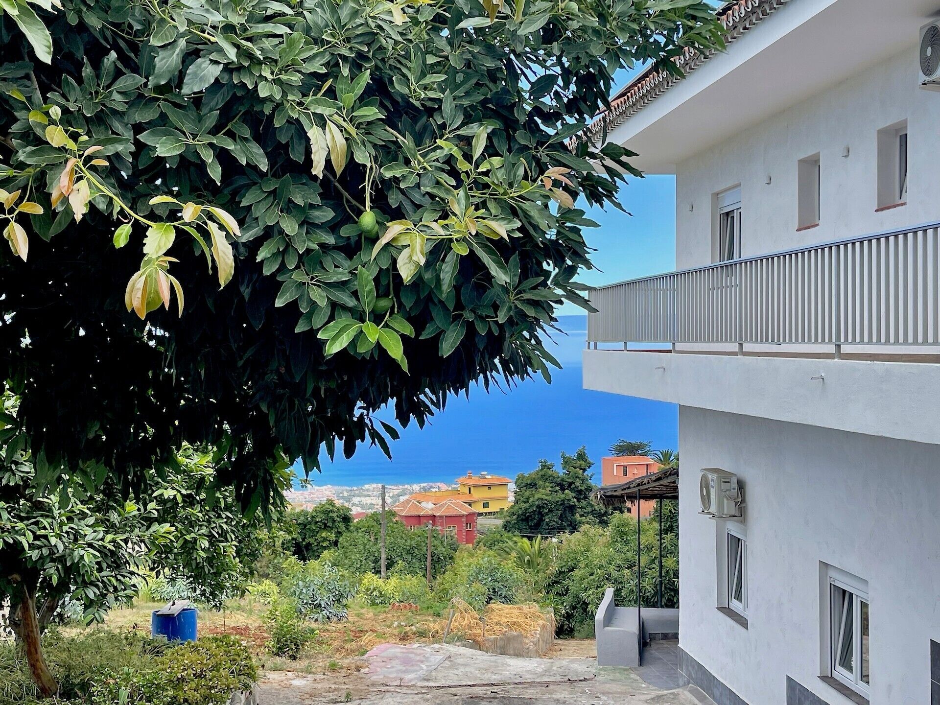 Un edificio con un balcone che si affaccia su una vista cittadina e un albero con foglie verdi.