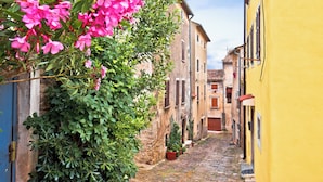 A narrow cobblestone street flanked by historic buildings with balconies and shutters. - Holiday home with air conditioning and pool (Novigrad)