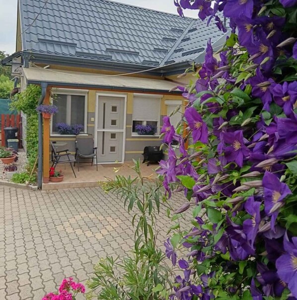 Detalle del exterior