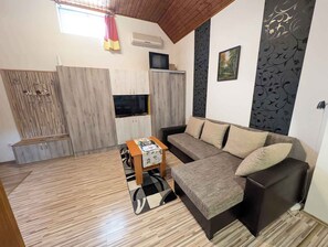 TV, fireplace - Holiday home with wifi and air conditioning (Ságvár)