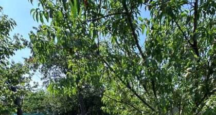 Holiday home with wifi and air conditioning