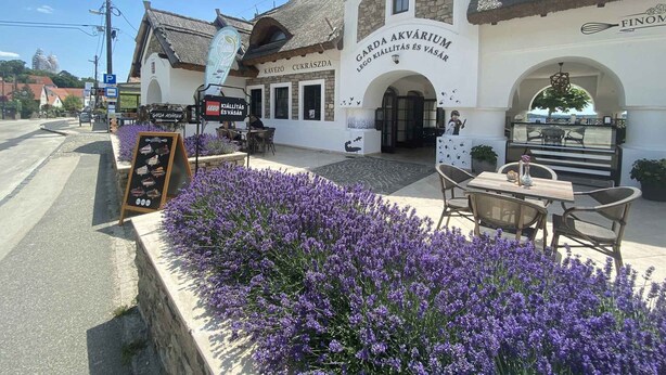 Um restaurante com mesas ao ar livre, uma placa com a inscrição 'GARDIA AKVARIUM LEGO KIÄLLTÄS ES VASAR' e flores roxas em primeiro plano.