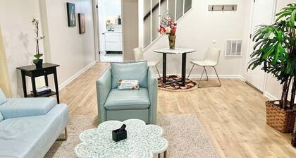 1 Bedroom Basement Apartment | No Car needed