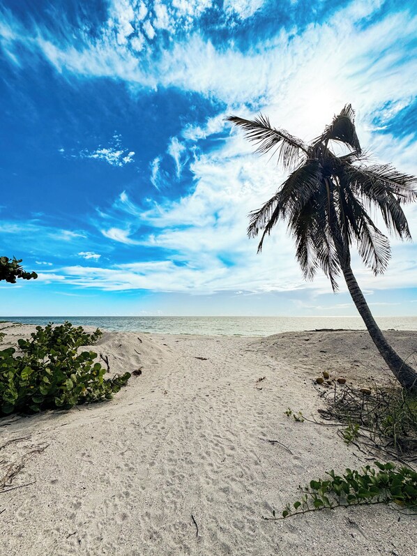 Chaise longue, serviettes de plage