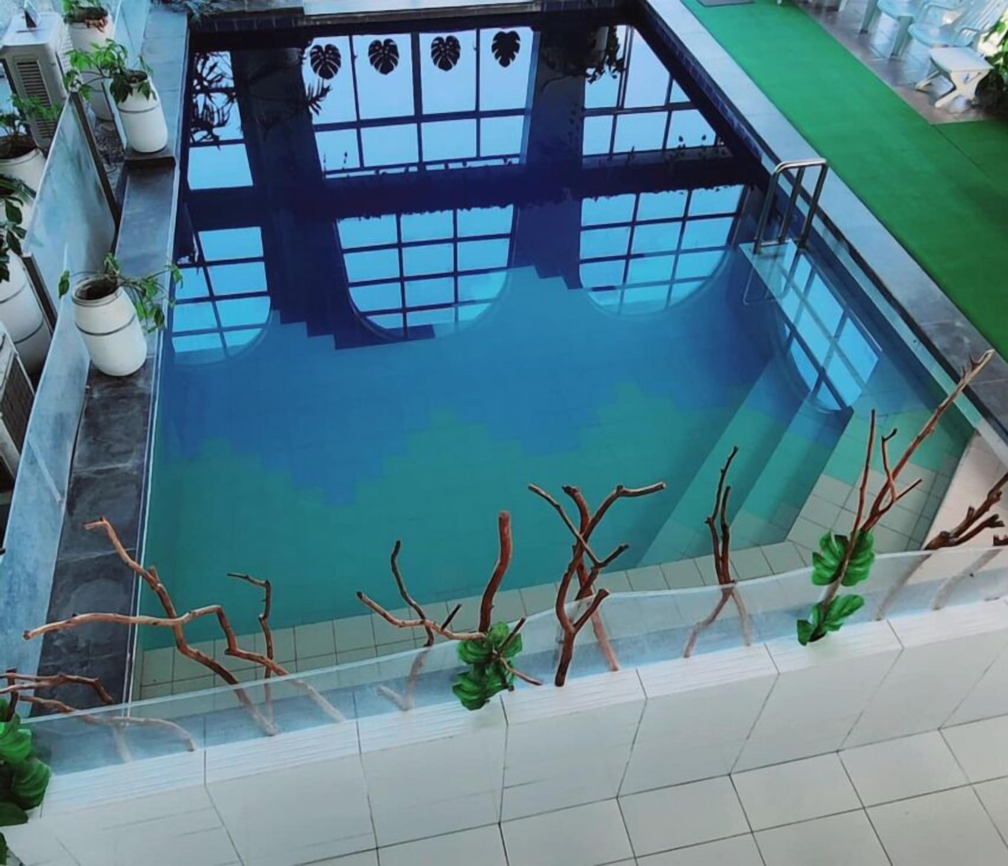 Una piscina interior d'aigua cristal·lina, envoltada de plantes en testos i un paviment de rajoles.