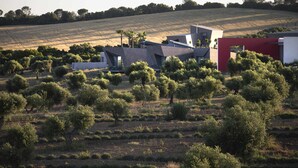 Un bâtiment moderne doté d’un toit plat et d’une partie rouge, entouré d’un champ parsemé d’arbres.