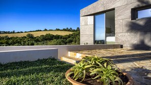 Un bâtiment moderne doté d’un toit plat, d’une grande fenêtre et d’une plante en pot posée au sol.