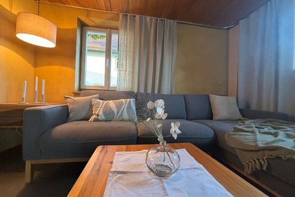 Ferienhaus-Wohnzimmer