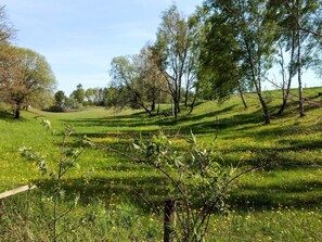 House | Property grounds - 4 Star Holiday Home in Munka-ljungby (Munka-Ljungby)