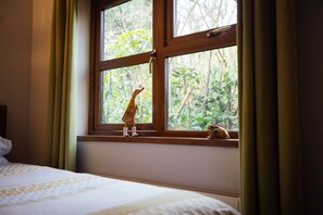 2 bedrooms, desk, iron/ironing board, WiFi