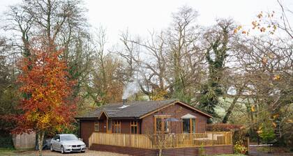 Tranquil Lakeview Lodge near Narberth’s Charm