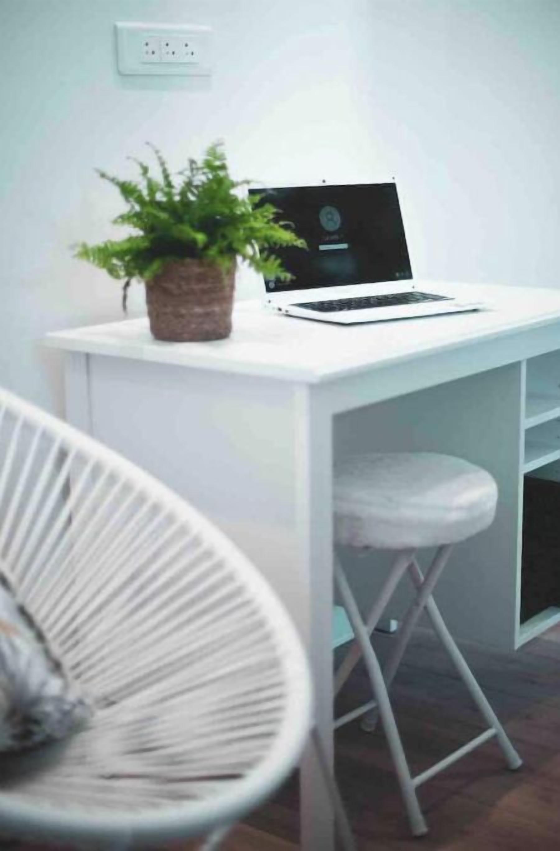 A white desk with a laptop and a potted plant.