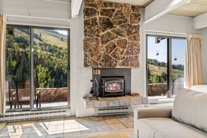Smart TV, fireplace, books