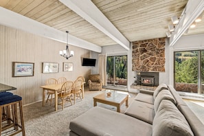 Smart TV, fireplace, DVD player, books
