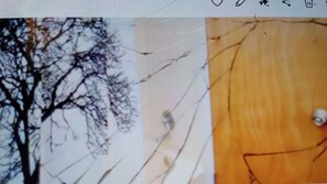 Miscellaneous - Charming 3bd 1bth house w/ bsmt and polebarn also pet friendly in Portage MI (Portage)