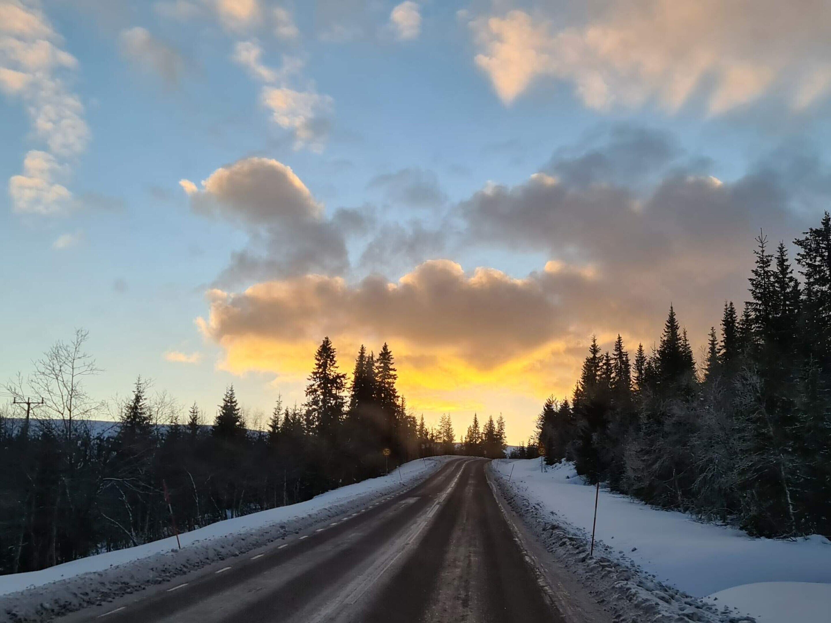 A snow-covered road flanked by trees under a cloudy sky.