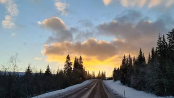 A snow-covered road flanked by trees under a cloudy sky.
