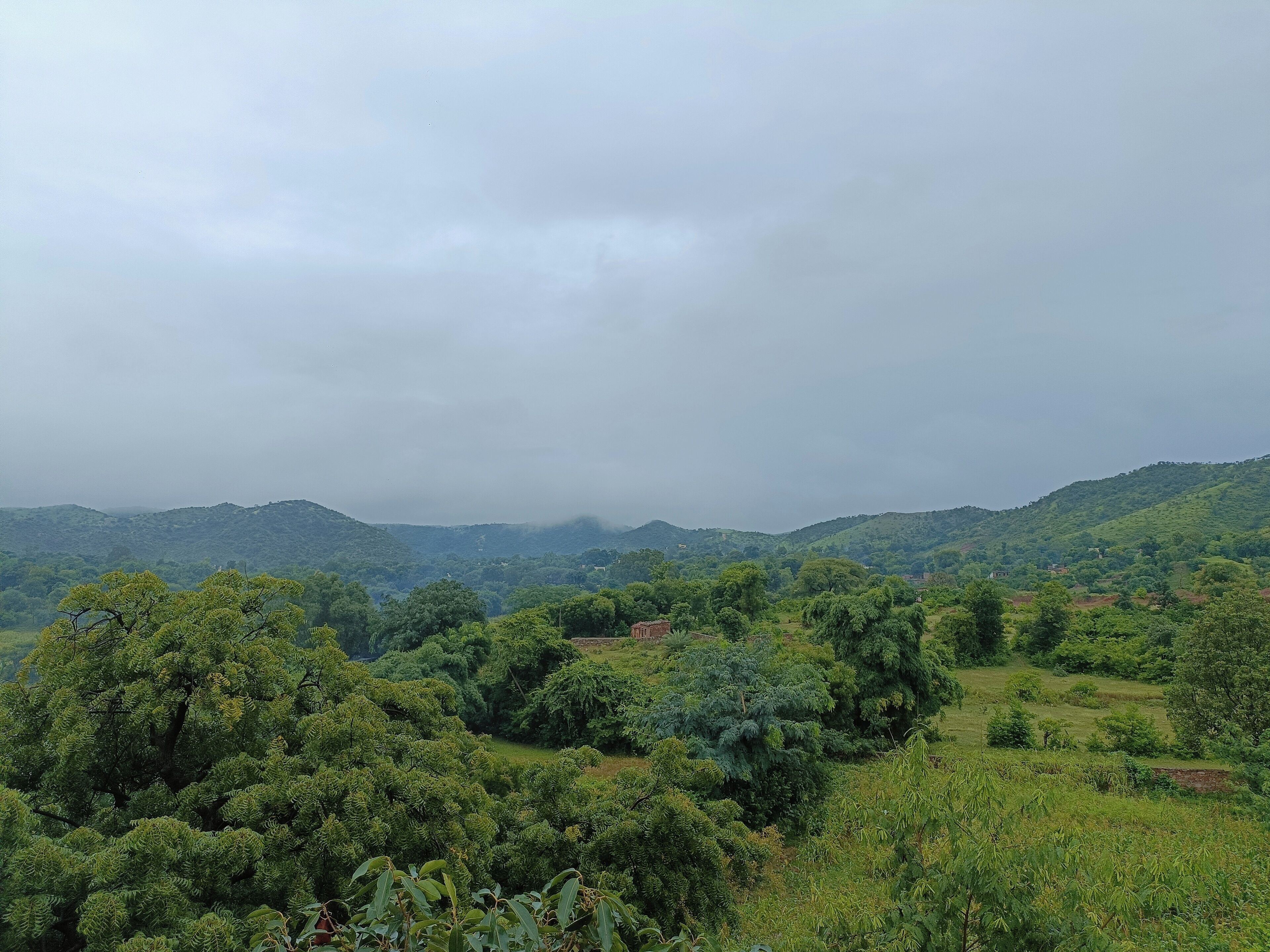 A lush green landscape with rolling hills and dense vegetation.