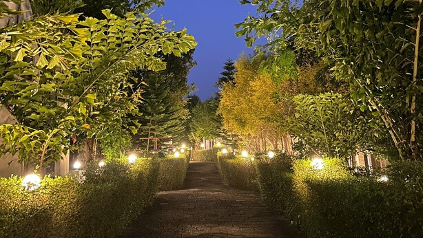 Un chemin pavé, bordé de haies et d’arbres soigneusement taillés, qui mène à un bâtiment.