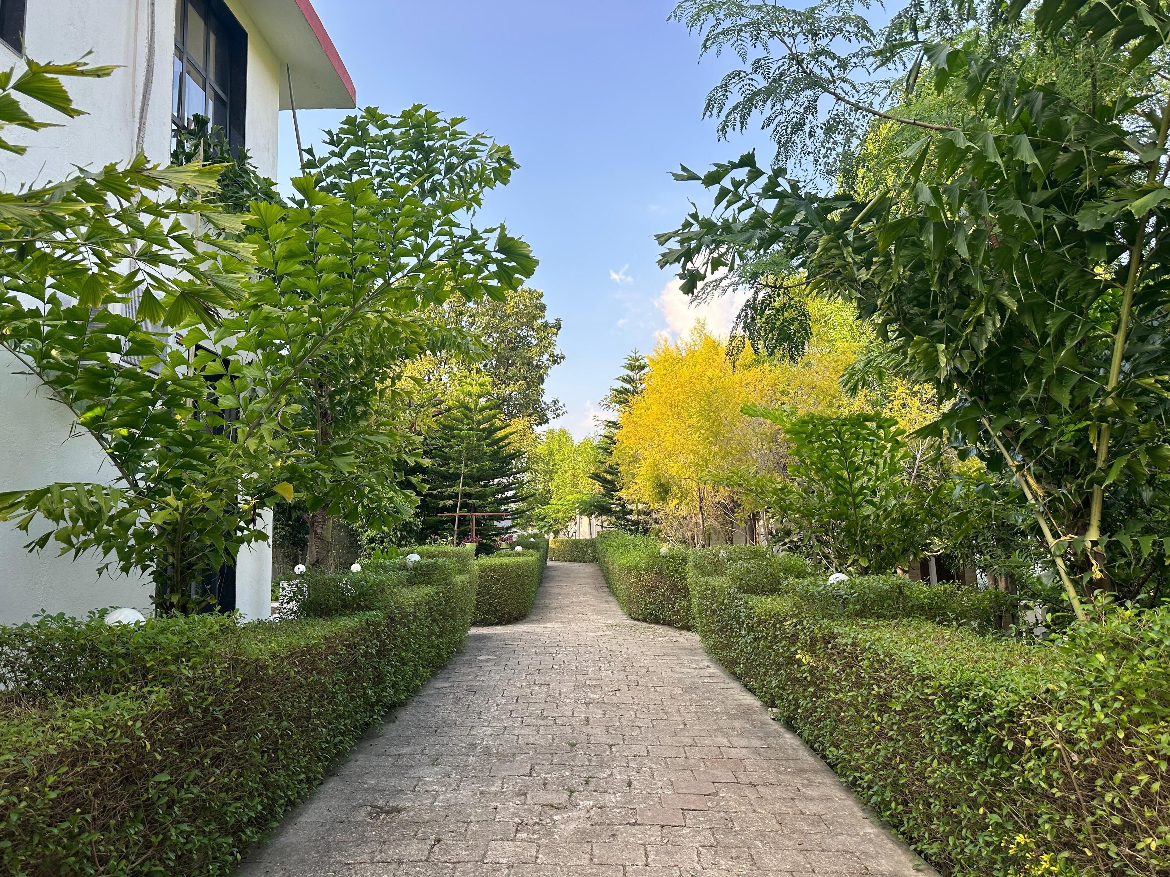 A paved pathway flanked by neatly trimmed hedges and trees, leading towards a building with a white facade and a red roof.
