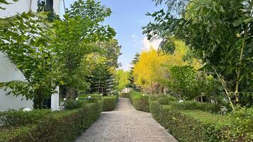 A paved pathway flanked by neatly trimmed hedges and trees, leading towards a building with a white facade and a red roof.