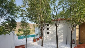 Une cour avec des murs blancs, une piscine et des plantes en pot.