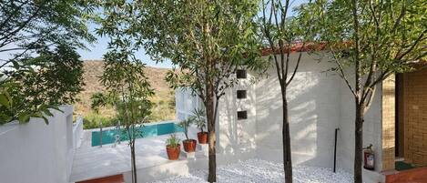A courtyard with white walls, a pool, and potted plants.