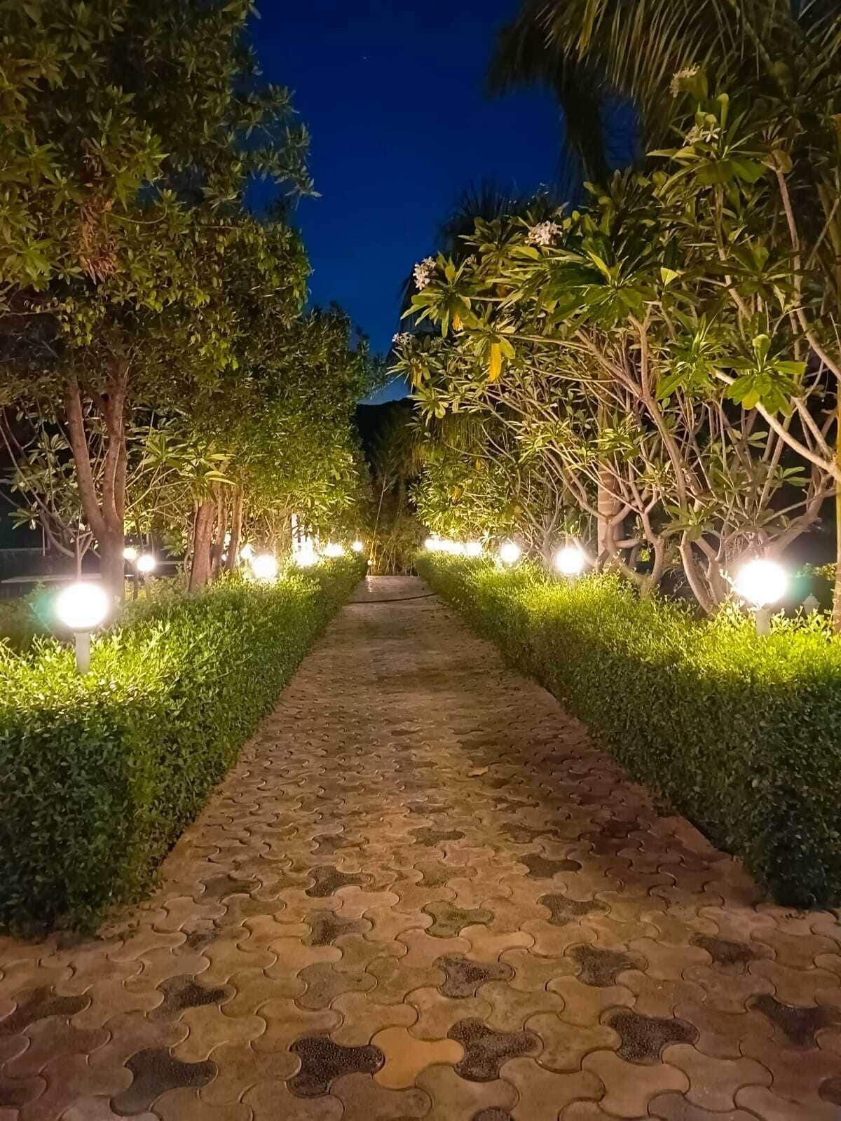 Un chemin pavé, bordé de haies et d’arbres bien éclairés, mène à un bâtiment.