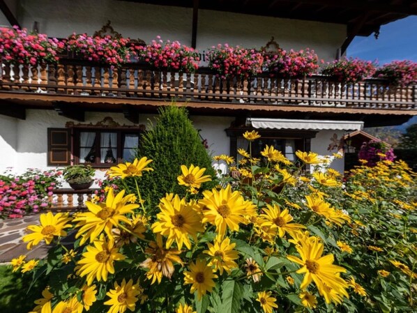 Un bâtiment traditionnel doté d’un balcon orné de fleurs, d’un jardin où poussent des tournesols et surplombé d’un ciel bleu azur.