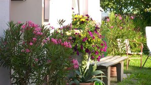 Potted plants with flowers in a garden area. - Fewo Alte Post, Apartment Rosenrot – Cozy Family Retreat in Meßstetten (Meßstetten)